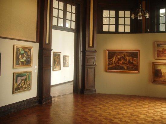 el Museo Municipal de Bellas Artes Genaro Pérez